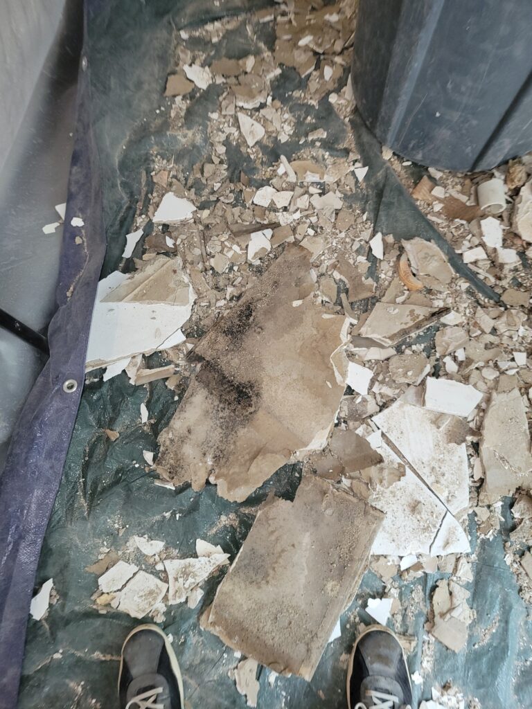 Debris