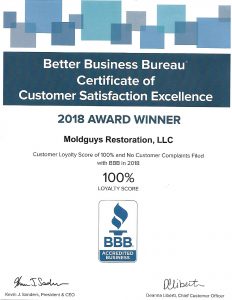 moldguys bbb certification