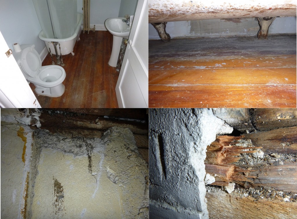 prvidence RI Mold Removal & Water Damage