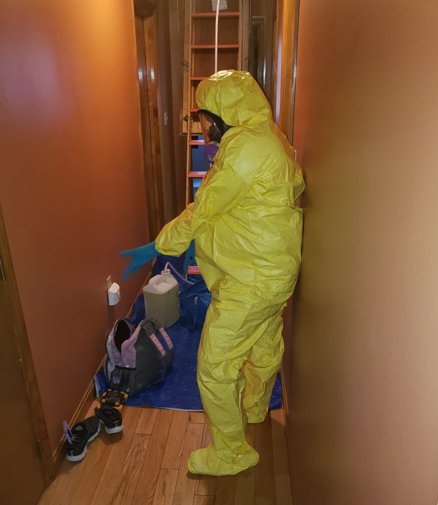 women doing attic mold removal