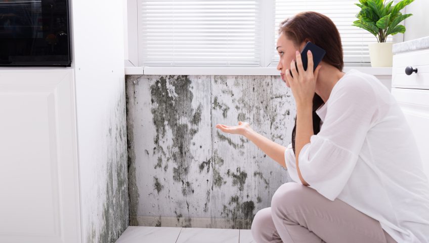 young woman looking at mold on the phone