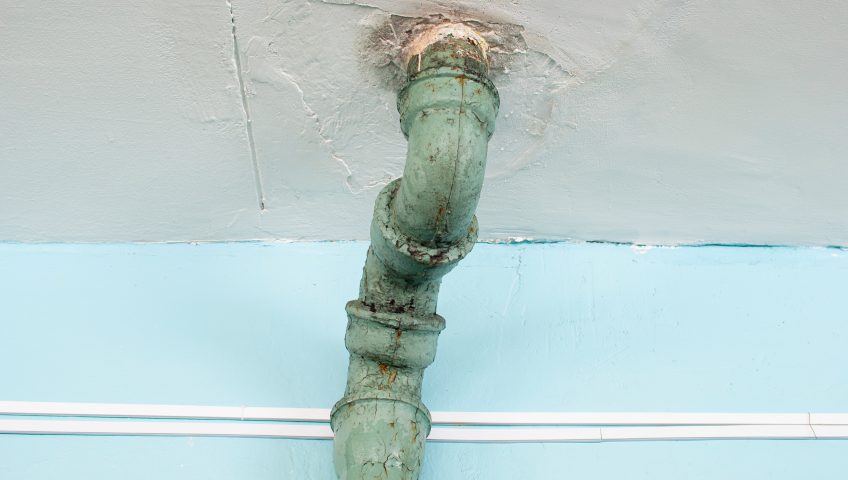 Mold on Pipe