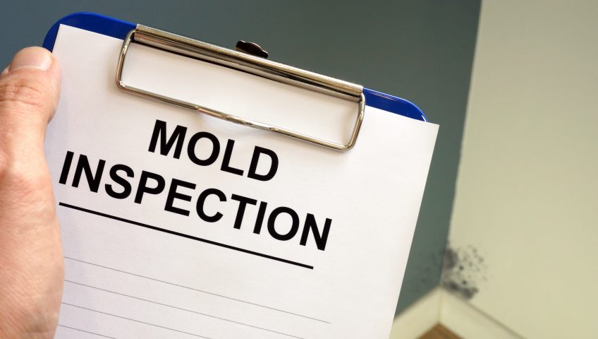 Mold inspection sheet