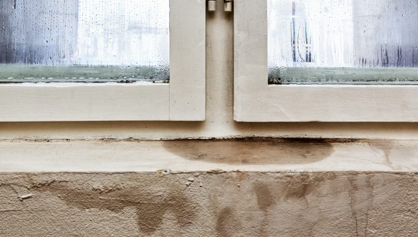 Mold on Bathroom Windows