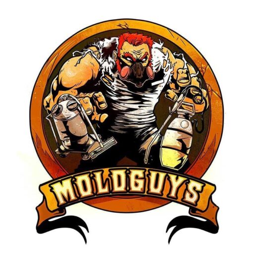 Moldguys Media