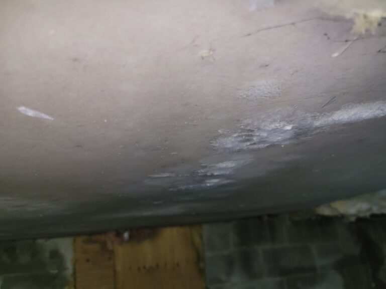 mold on ceiling from water