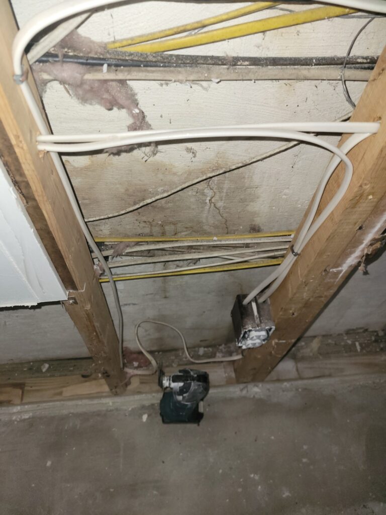 Mold behind wall